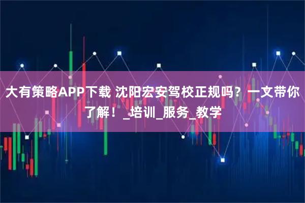 大有策略APP下载 沈阳宏安驾校正规吗?一文带你了解!_培训_服务_教学