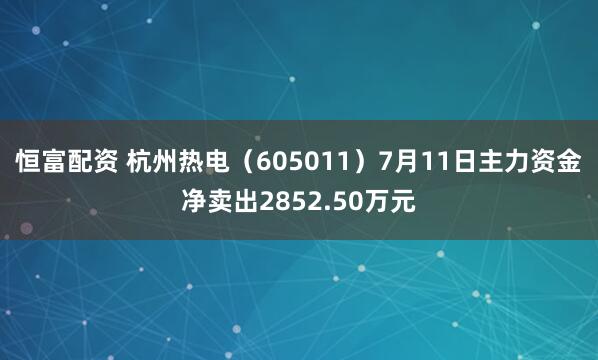 恒富配资 杭州热电(605011)7月11日主力资金净卖出2852.50万元