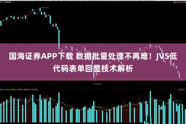 国海证券APP下载 数据批量处理不再难！JVS低代码表单回显技术解析