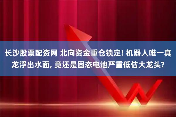 长沙股票配资网 北向资金重仓锁定! 机器人唯一真龙浮出水面, 竟还是固态电池严重低估大龙头?