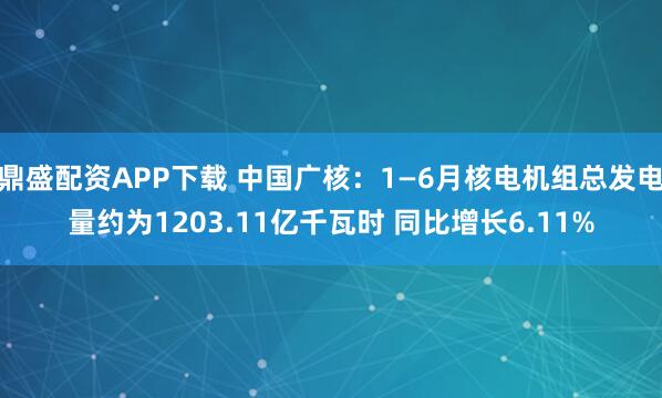 鼎盛配资APP下载 中国广核：1—6月核电机组总发电量约为1203.11亿千瓦时 同比增长6.11%