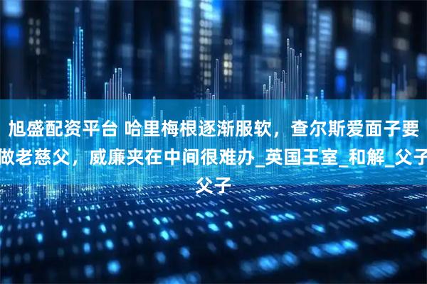旭盛配资平台 哈里梅根逐渐服软,查尔斯爱面子要做老慈父,威廉夹在中间很难办_英国王室_和解_父子