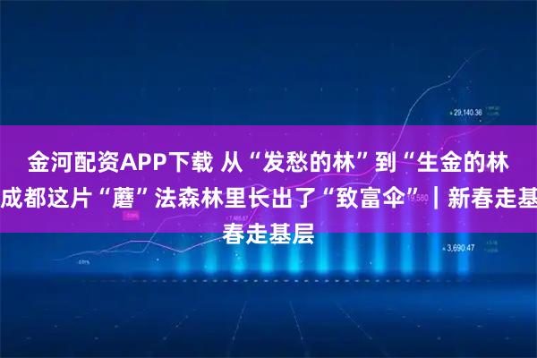 金河配资APP下载 从“发愁的林”到“生金的林” 成都这片“蘑”法森林里长出了“致富伞”|新春走基层