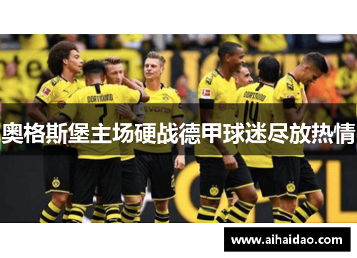 奥格斯堡主场硬战德甲球迷尽放热情