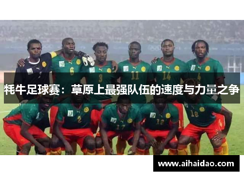 牦牛足球赛：草原上最强队伍的速度与力量之争