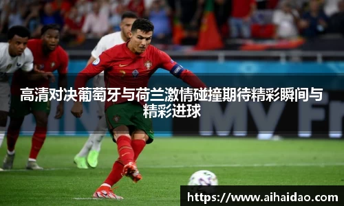 高清对决葡萄牙与荷兰激情碰撞期待精彩瞬间与精彩进球