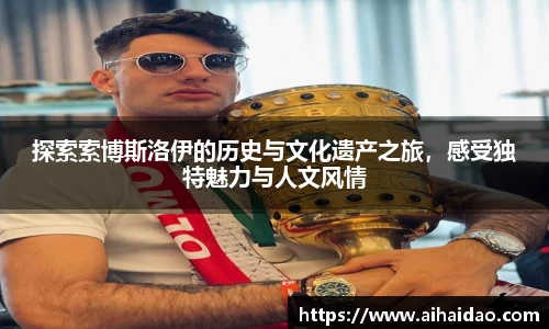探索索博斯洛伊的历史与文化遗产之旅，感受独特魅力与人文风情