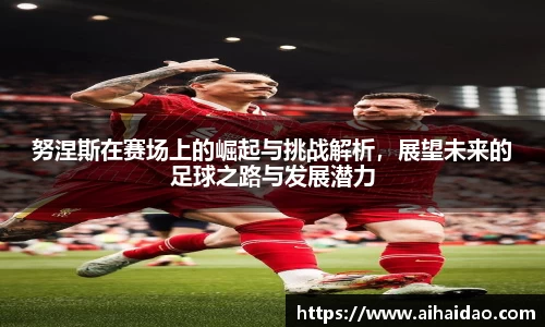 努涅斯在赛场上的崛起与挑战解析，展望未来的足球之路与发展潜力
