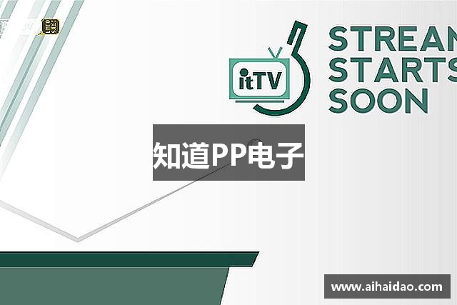 知道PP电子
